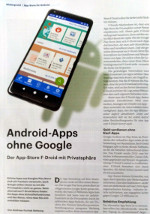 Article Screenshot